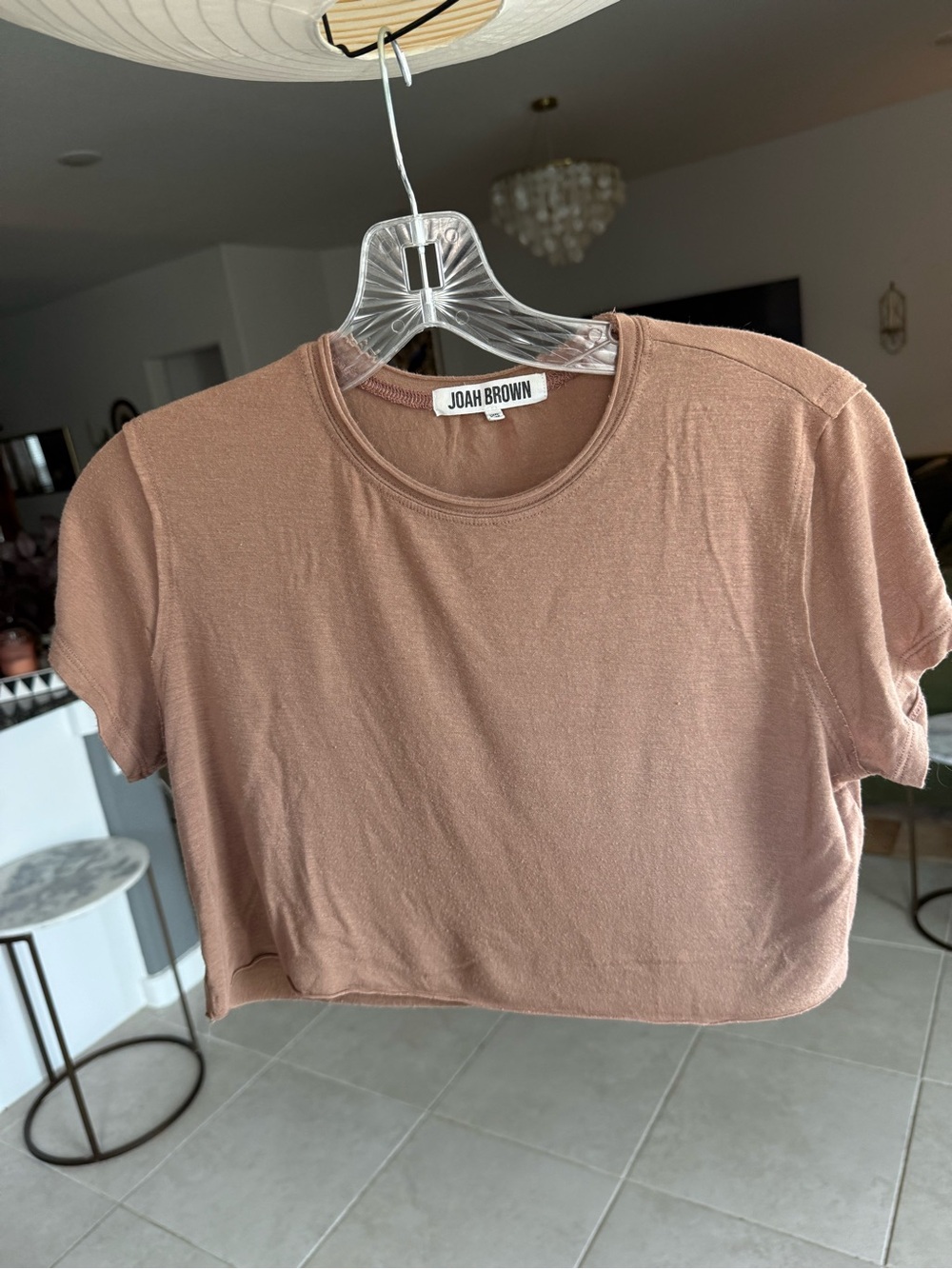 Joah Brown Cropped Tee in Dusty Mauve